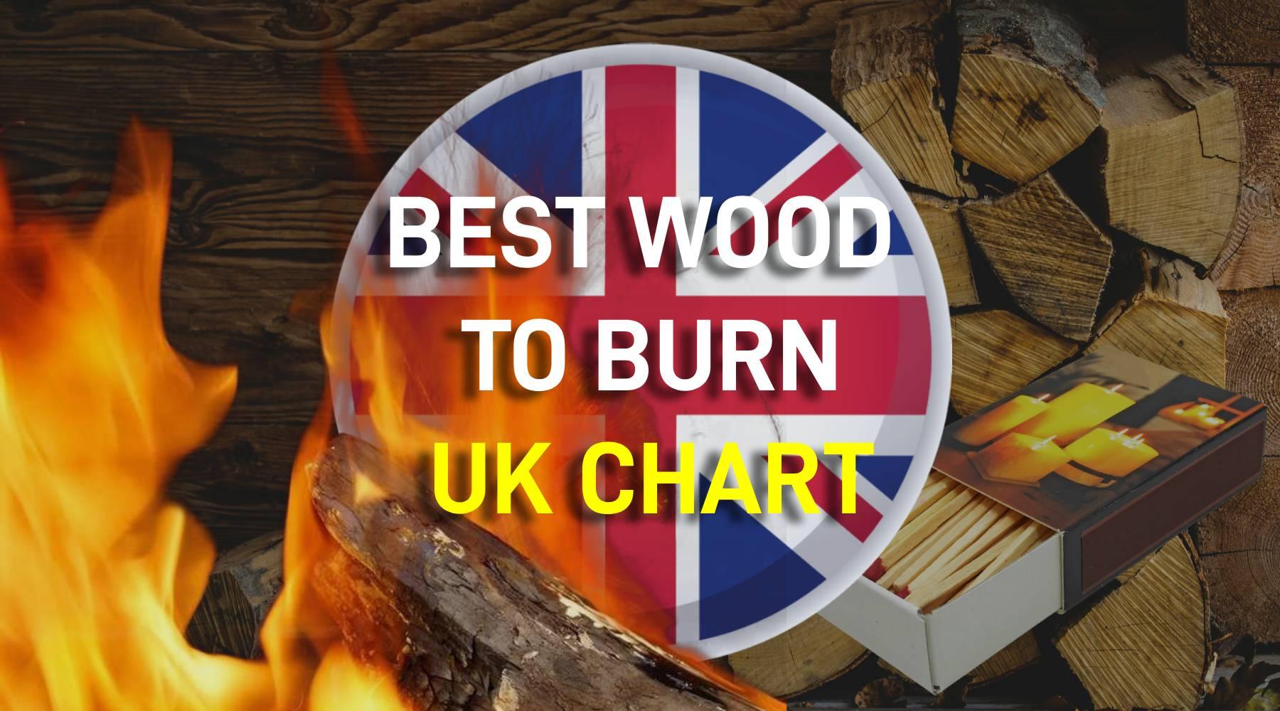 Best Firewood to Burn UK Chart BTUs, Burn Time, Heat Output Lekto