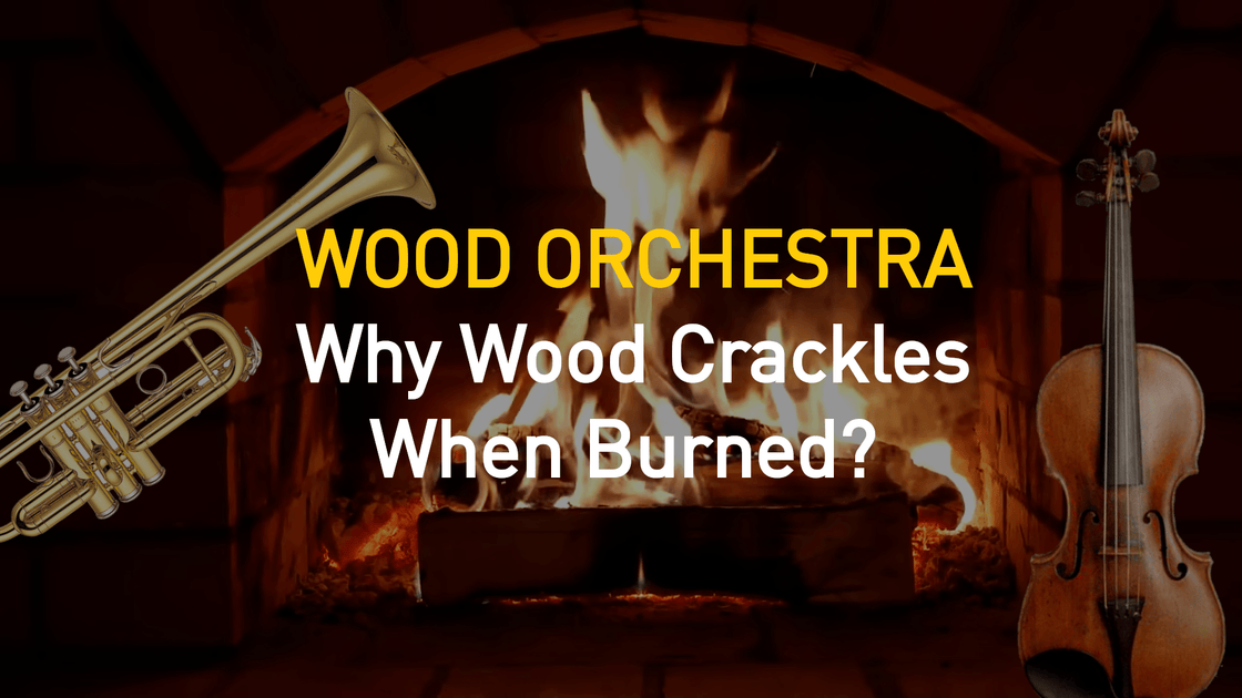 The Orchestra Inside Your Wood Burner Why Does Fire Crackle?