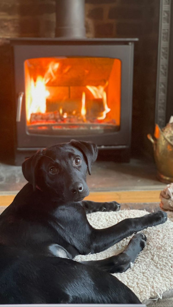 How Do You Clean The Glass On A Log Burner?