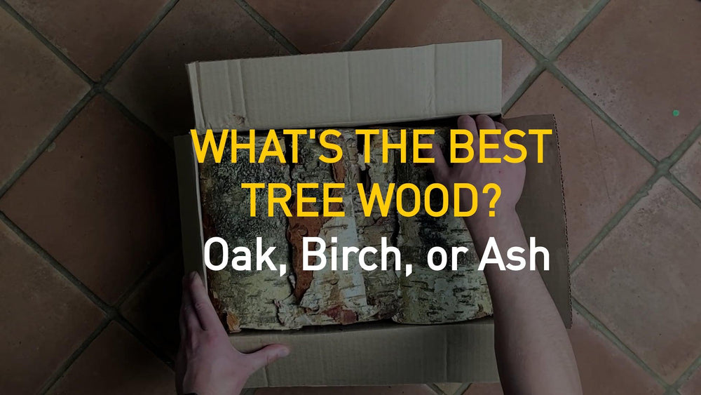 Difference between Birch And Ash Logs: A Detailed Guide