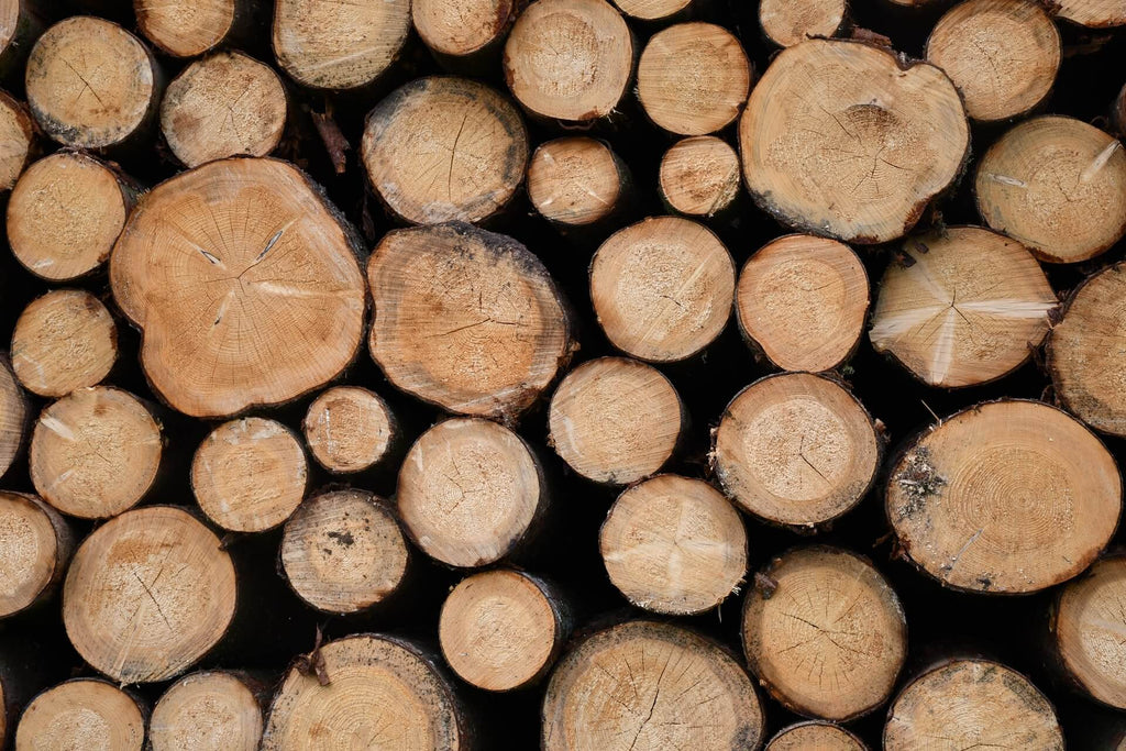 What Is Wet Wood u0026 Why Should You Avoid It?